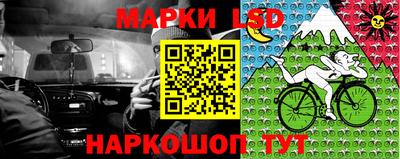 СК Краснодар