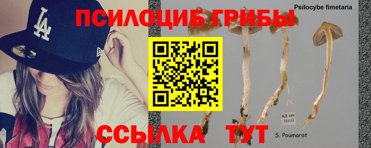 Зерноград  Галлюциногенные грибы ЛСД  Вход с VPN 